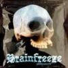 Buy Brainfreeze Herbal Incense online